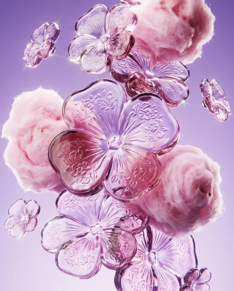Petra Viola ingredients